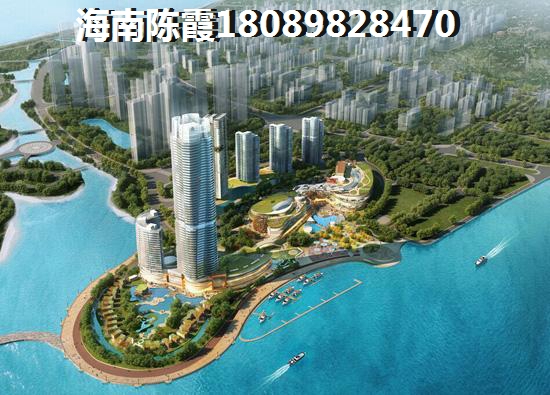 海南醉新房价2024走势，海南醉有生纸空间的房子